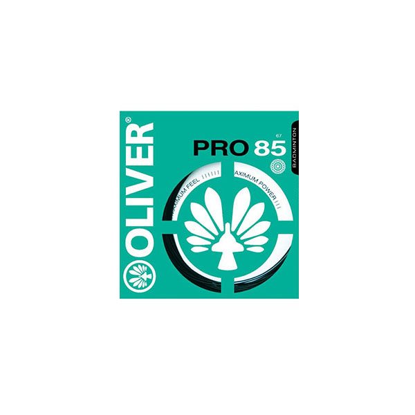 专业级羽拍线PRO ...